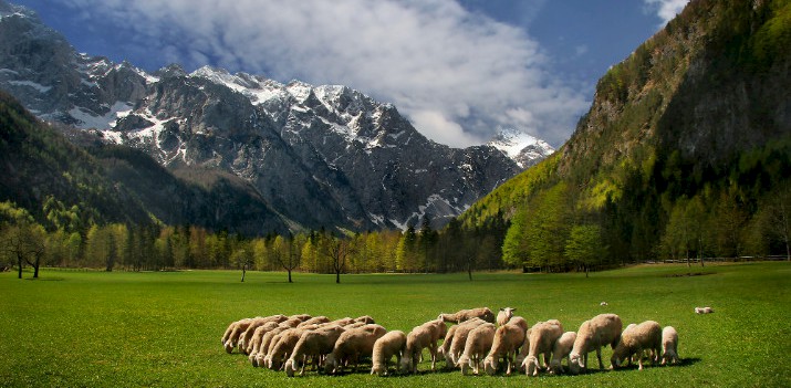 Savinjska in Slowenien: Logartal und die Steiner Alpen