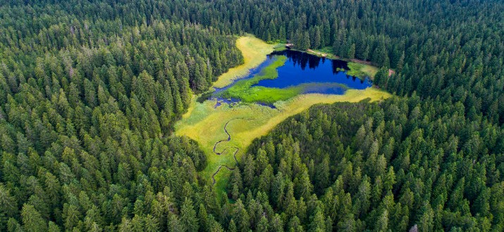 Pohorje, Schwarzer See, Koroška, Slowenien