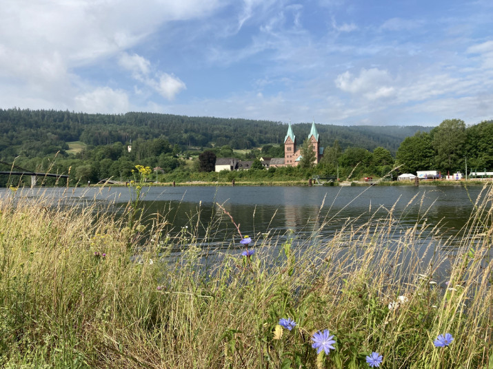 Blick auf Neustadt am Main